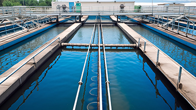 william威廉英国官网