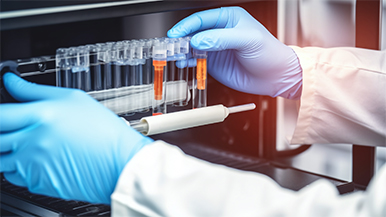 william威廉英国官网