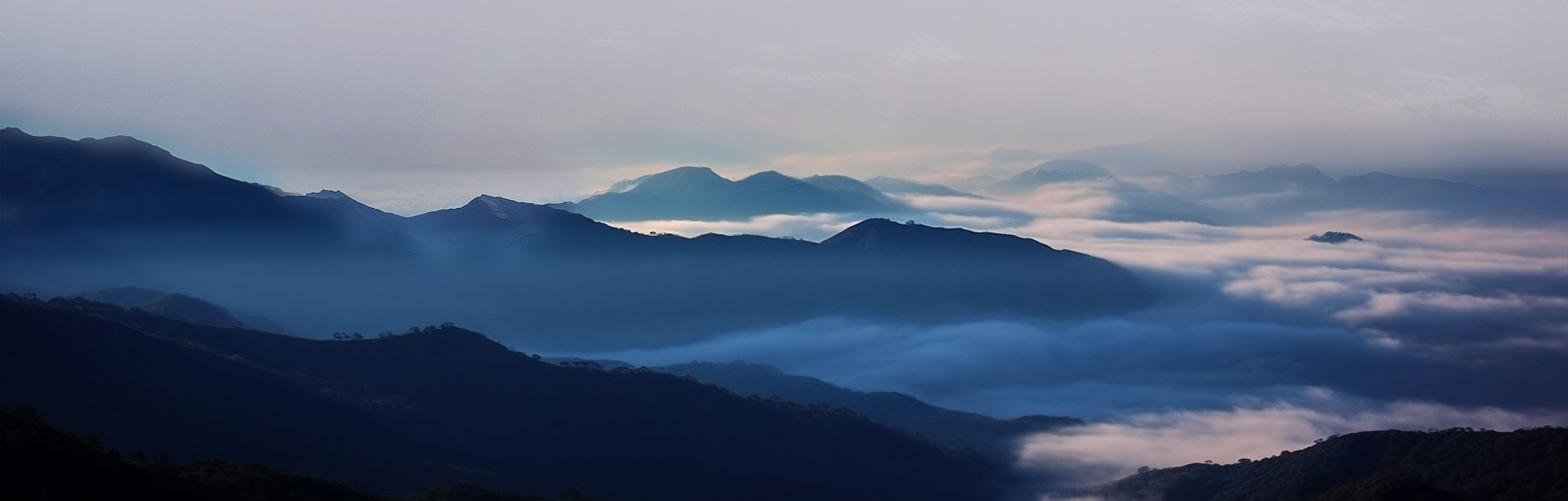 william威廉英国官网